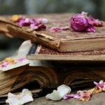 books-2447393_960_720