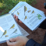 Capture d’écran 2020-10-05 à 14.05.03