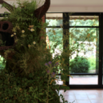 Capture d’écran 2021-05-20 à 10.23.41