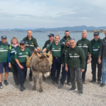 Capture d’écran 2022-03-28 à 11.42.07