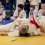 judo-4454835_1280