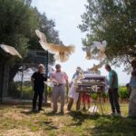 347392270_648635313971814_6627218114684736329_n