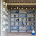 347416455_648635253971820_7667886375184103750_n