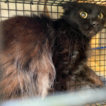 935adaac04b36675a1b5adv_00508588