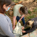 97a47bac04b365ba41fa47v_00508590