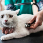 Capture d’écran 2023-01-09 à 15.24.13