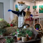 E06A0030-2-1536×1024